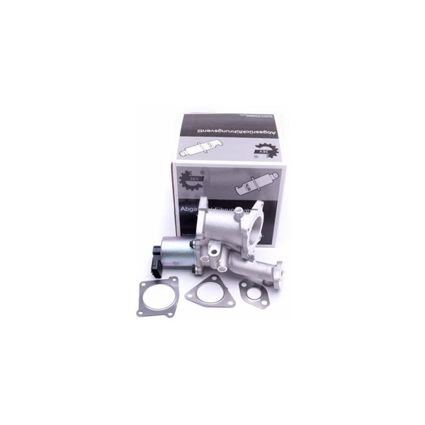 Egr-ventil 12V Esen skv 14SKV166 ESEN SKV
