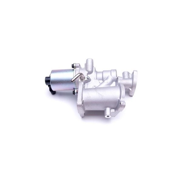 Egr-ventil 12V Esen skv 14SKV166 ESEN SKV