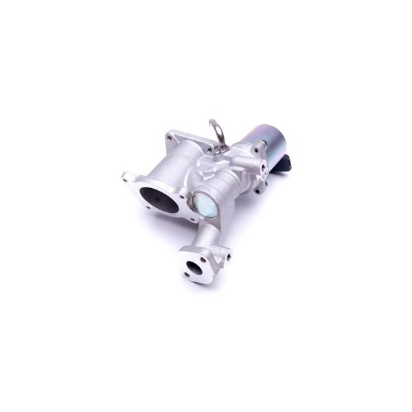 Egr-ventil 12V Esen skv 14SKV166 ESEN SKV