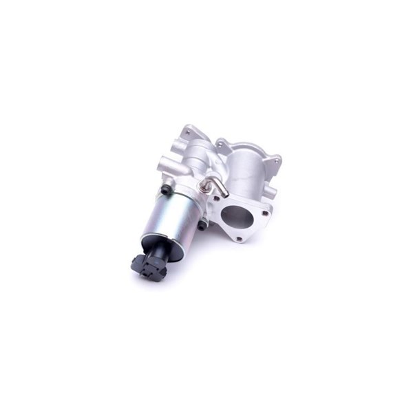 Egr-ventil 12V Esen skv 14SKV166 ESEN SKV