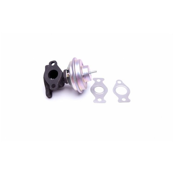 Egr-ventil Esen skv 14SKV204 ESEN SKV