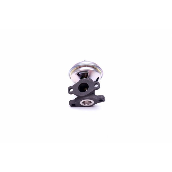 Egr-ventil Esen skv 14SKV204 ESEN SKV