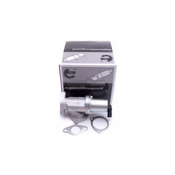 Egr-ventil Esen skv 14SKV209 ESEN SKV