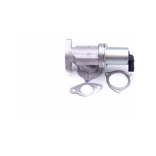 Egr-ventil Esen skv 14SKV209 ESEN SKV