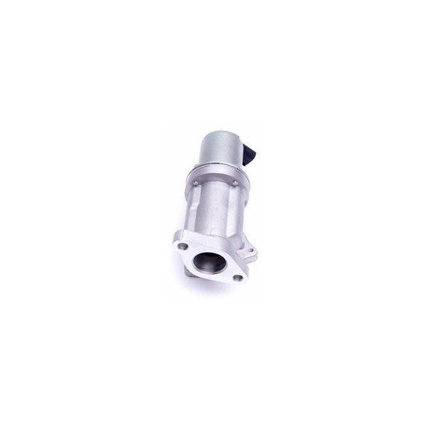 Egr-ventil Esen skv 14SKV209 ESEN SKV
