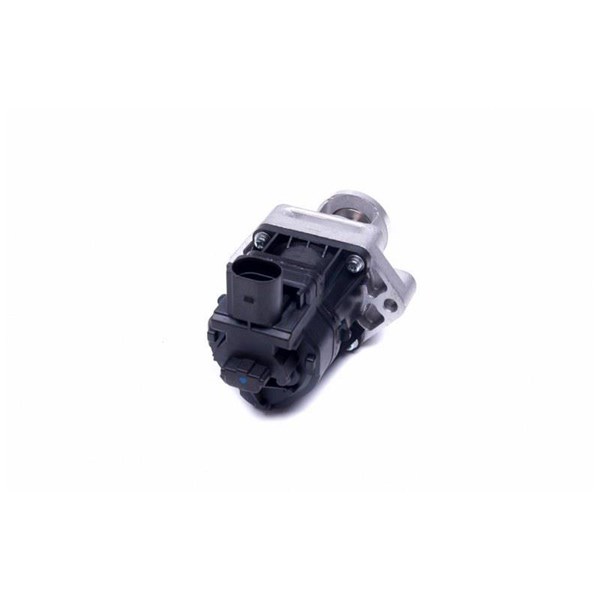 Egr-ventil Esen skv 14SKV217 ESEN SKV