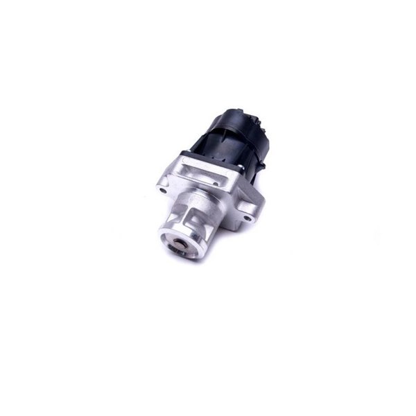 Egr-ventil Esen skv 14SKV217 ESEN SKV
