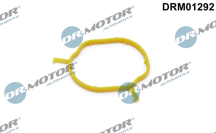 Packning, kylledning Dr.motor automotive DRM01292 Dr.Motor Automotive