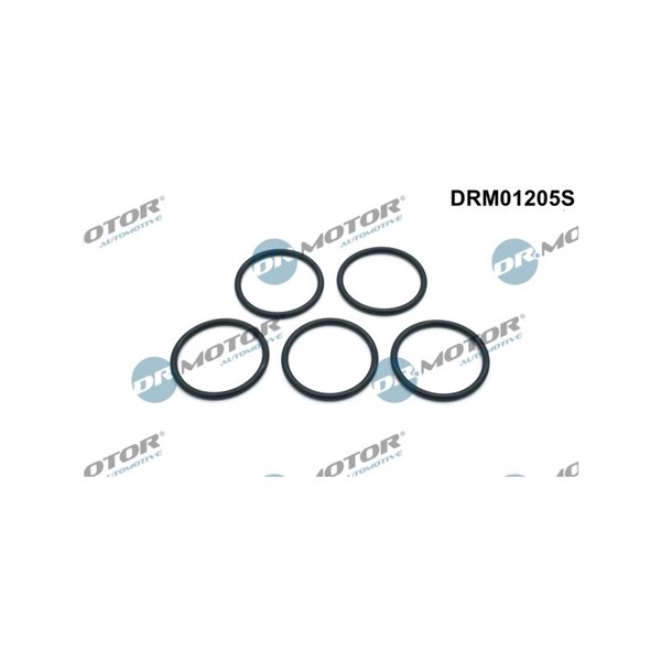 Packningssats, vattenpump Dr.motor automotive DRM01205S Dr.Motor Automotive