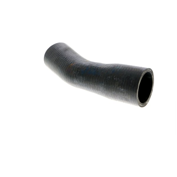 Kylarslang