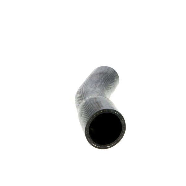 Kylarslang