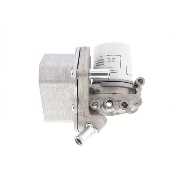 Oljekylare, motor