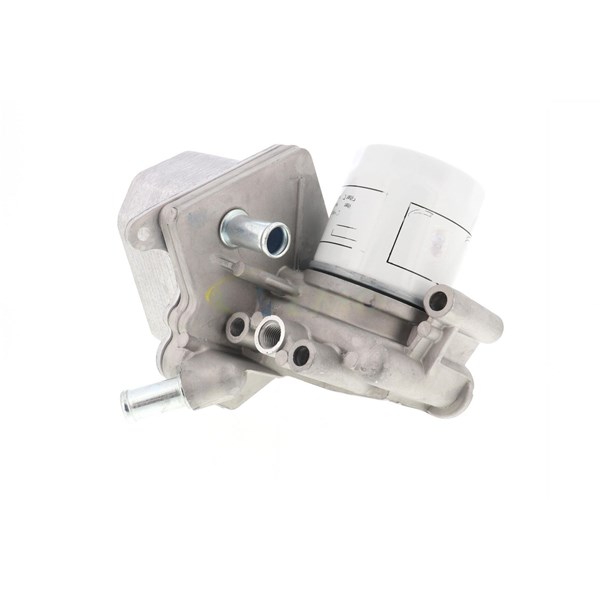 Oljekylare, motor
