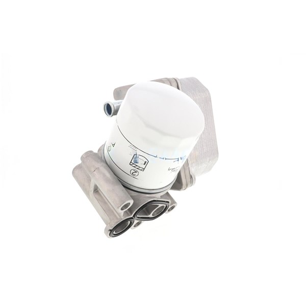 Oljekylare, motor