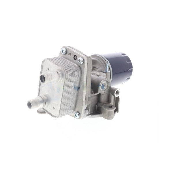 Oljekylare, motor