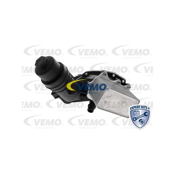 Oljekylare, motor