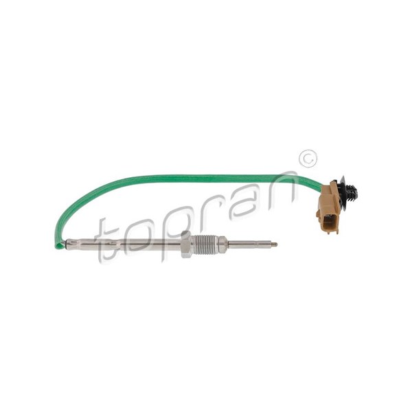 Sensor, avgastemperatur