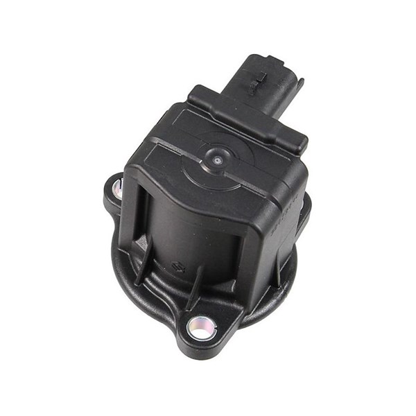 Wastegate 12V