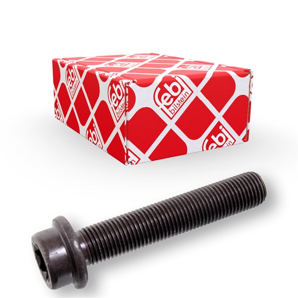 Skruv, bromslamell FEBI BILSTEIN FEBI BILSTEIN