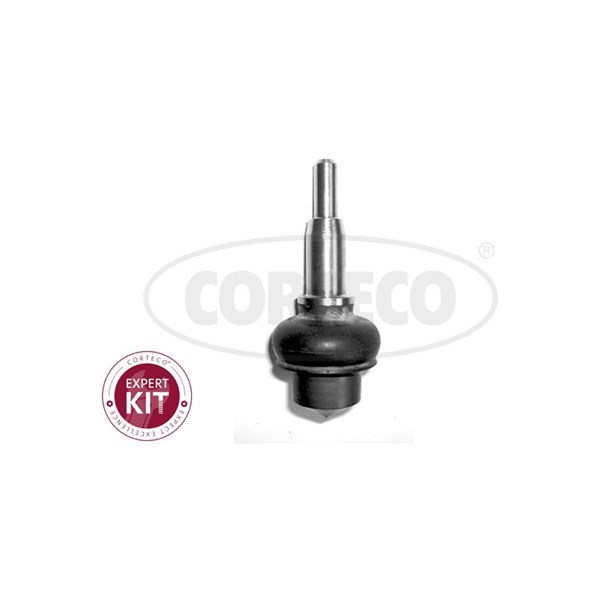 Kulled / Spindelled, framaxel höger, framaxel vänster Corteco 493 CORTECO