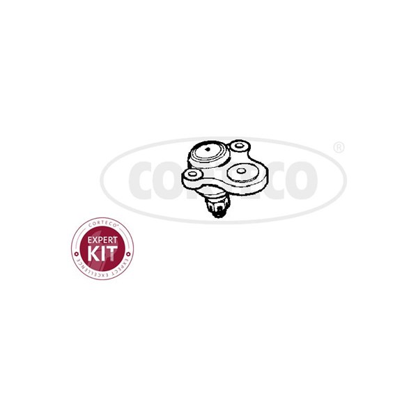 Kulled / Spindelled, Övre framaxel, framaxel höger, framaxel väns CORTECO Kulled / Spindelled, Övre framaxel, framaxel höger, framaxel väns CORTECO