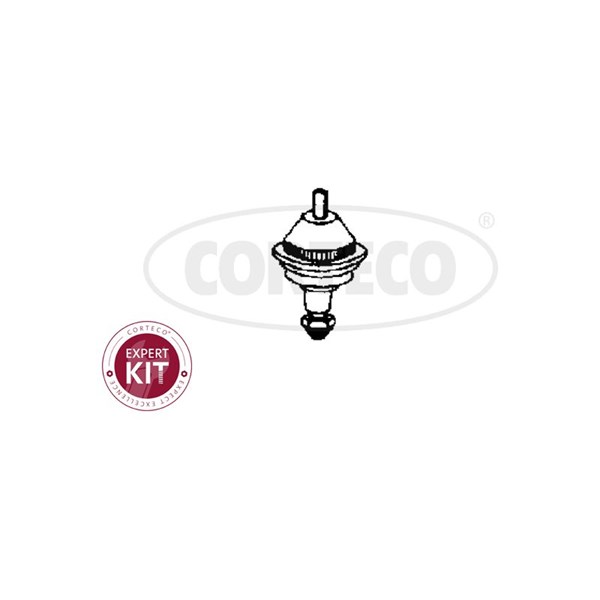 Kulled / Spindelled, framaxel höger, framaxel vänster, Nedre Cort CORTECO Kulled / Spindelled, framaxel höger, framaxel vänster, Nedre Cort CORTECO
