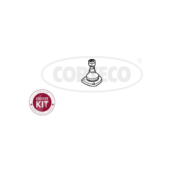 Kulled / Spindelled, framaxel höger, framaxel vänster Corteco 493 CORTECO