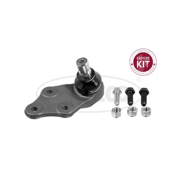 Kulled / Spindelled, framaxel höger, framaxel vänster, Nedre Cort CORTECO Kulled / Spindelled, framaxel höger, framaxel vänster, Nedre Cort CORTECO