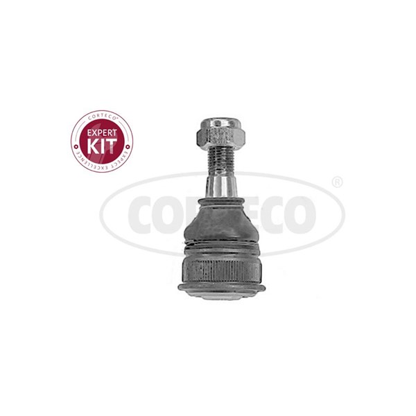 Kulled / Spindelled, framaxel höger, framaxel vänster, Nedre Cort CORTECO Kulled / Spindelled, framaxel höger, framaxel vänster, Nedre Cort CORTECO