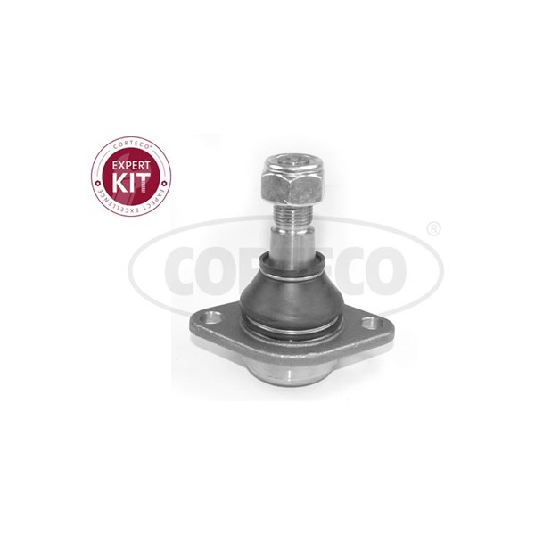 Kulled / Spindelled, framaxel höger, framaxel vänster Corteco 493 CORTECO