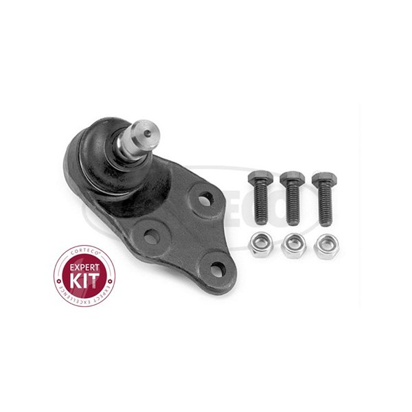 Kulled / Spindelled, framaxel höger, Nedre Corteco 49395978 CORTECO