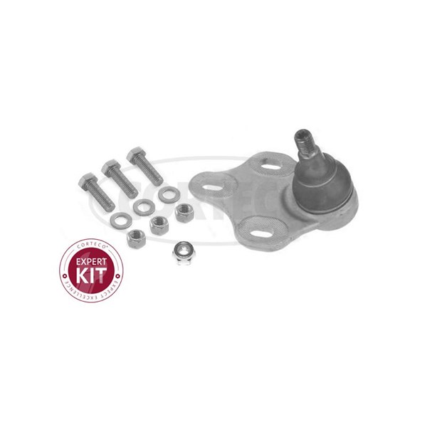 Kulled / Spindelled, framaxel höger, Nedre Corteco 49396000 CORTECO