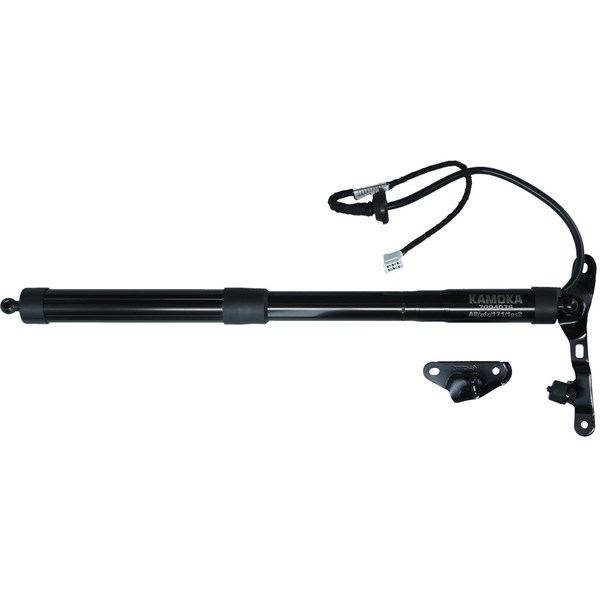 Elektrisk baklucka, Vänster bak