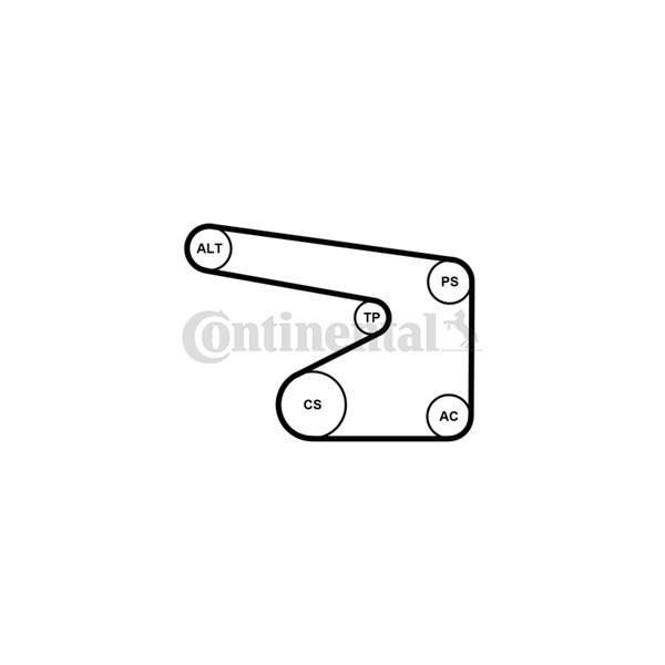 Vattenpump + spårremssats Contitech 5PK1355WP2 CONTITECH
