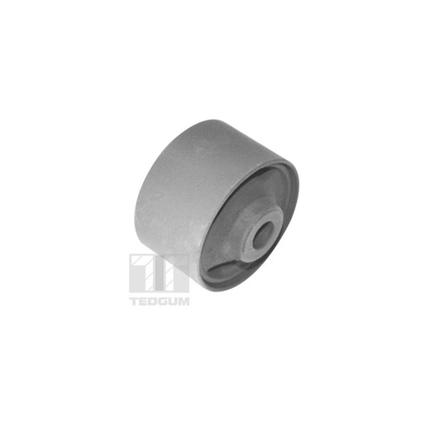 Fäste, differential, Bakaxel vänster Tedgum TED98875 TEDGUM Fäste, differential, Bakaxel vänster Tedgum TED98875 TEDGUM