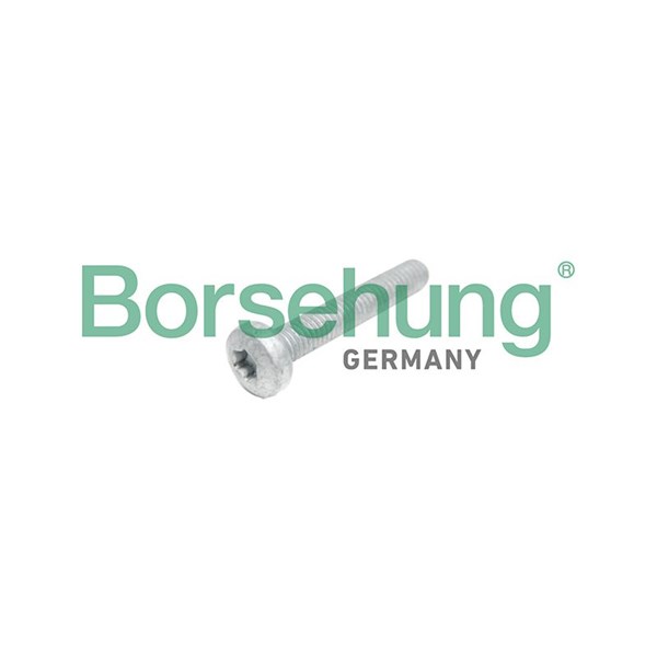 Topplocksbult Borsehung