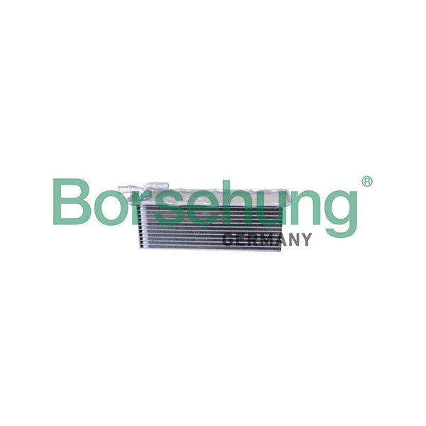 Intercooler Borsehung B10880 Borsehung