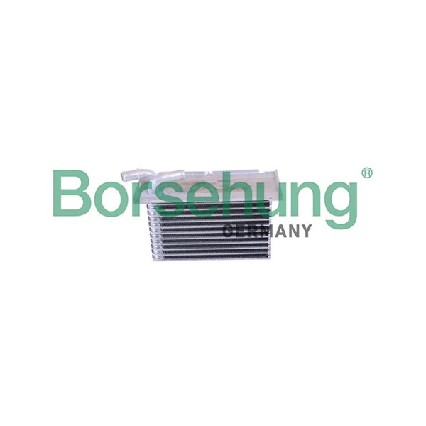 Intercooler Borsehung B10881 Borsehung