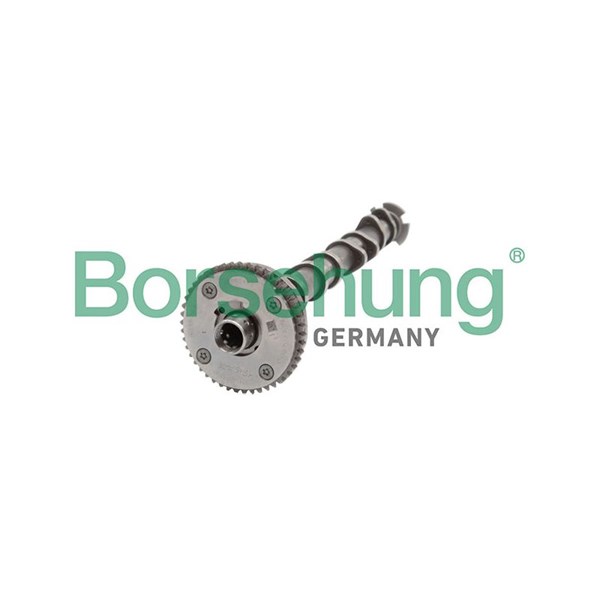Kamaxel, Insugssidan Borsehung B11319 Borsehung