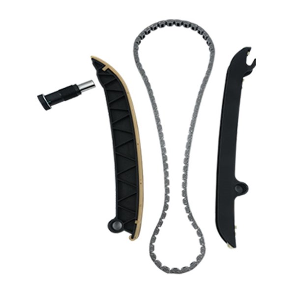 Kamkedjesats Borsehung B18296 Borsehung