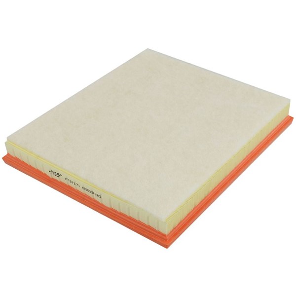 Luftfilter Fast FT37171 FAST