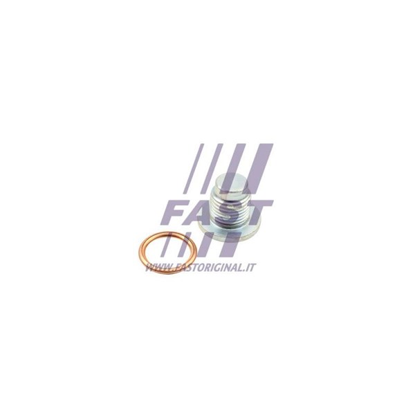 Oljetrågsavtappningsplugg Fast FT49502 FAST