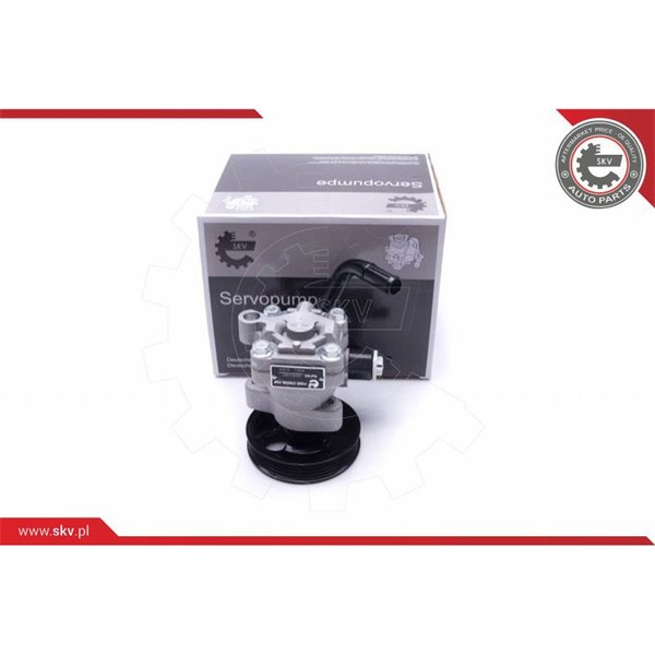 Servopump Esen skv 10SKV301 ESEN SKV