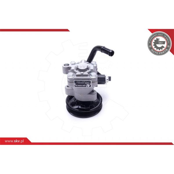 Servopump Esen skv 10SKV301 ESEN SKV Servopump Esen skv 10SKV301 ESEN SKV