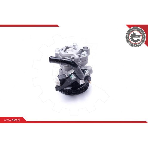 Servopump Esen skv 10SKV301 ESEN SKV Servopump Esen skv 10SKV301 ESEN SKV
