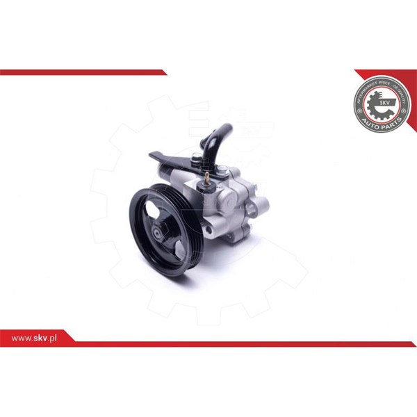 Servopump Esen skv 10SKV301 ESEN SKV Servopump Esen skv 10SKV301 ESEN SKV