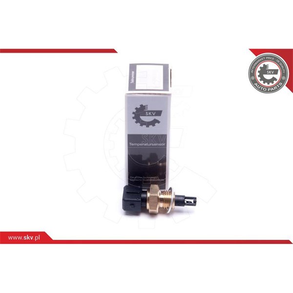 Sensor, insugslufttemperatur Esen skv 17SKV685 ESEN SKV