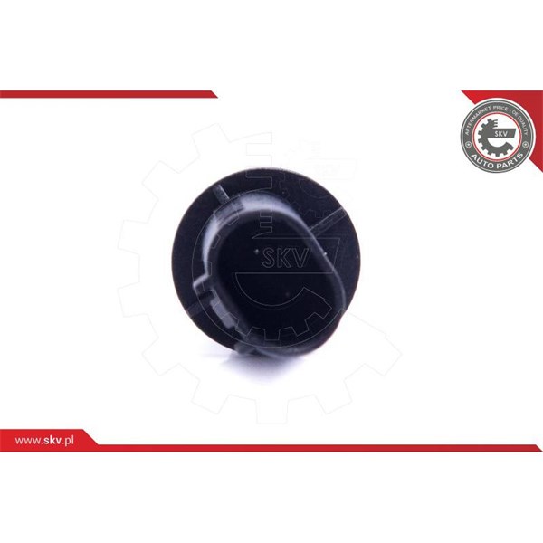 Sensor, yttertemperatur Esen skv 17SKV699 ESEN SKV