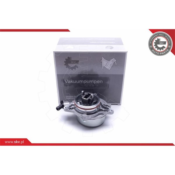 Vakuumpump, bromssystem Esen skv 18SKV046 ESEN SKV