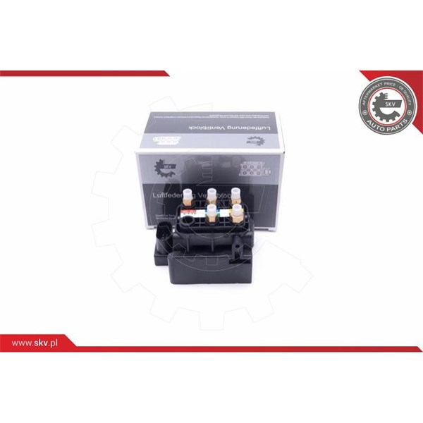Ventil, kompressorsystem Esen skv 93SKV805 ESEN SKV